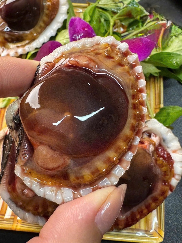 Sò Huyết tại Vựa Cua Đăng Quân