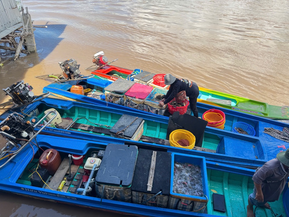 Ghe thu mua hải sản tận nơi mỗi ngày
